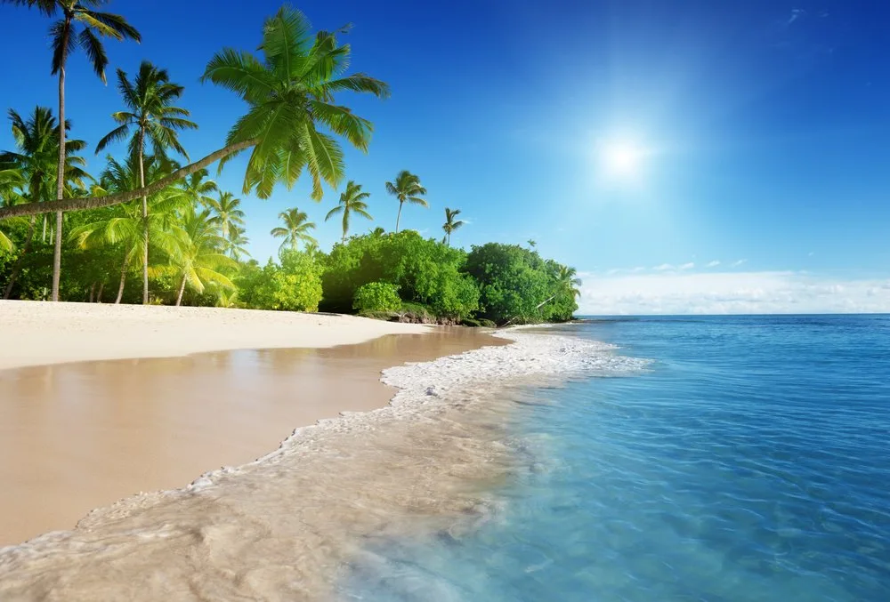 shutterstock_119678557