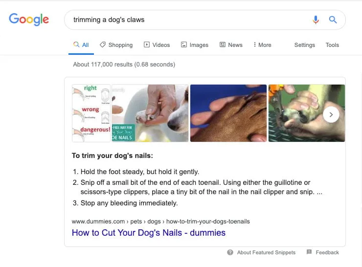 Screenshot of a numbered featured list snippet for the query "trimming a dog's claws"