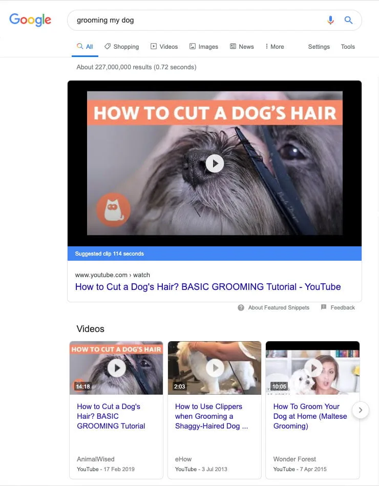 Screenshot of a video featured snippet for the search query "trimming a dog's claws"